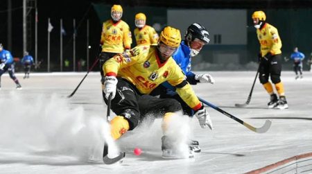 Эпизод матча по хоккею с мячом