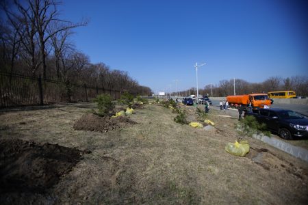 Экологическая акция