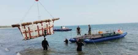 Выпуск морплеков