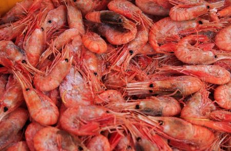 Экспорт рыбы и морепродуктов из Приморья вырос  на 20%