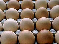 Более 193 миллионов яиц произвели в Приморье