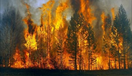 В Якутии расследуют дело о халатности при ликвидации лесных пожаров