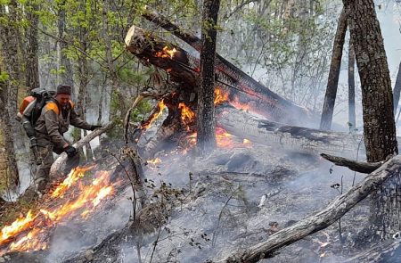 Лесной пожар