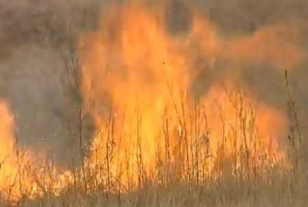 Из-за лесных пожаров ЧС ввели в Зейском районе  Амурской  области