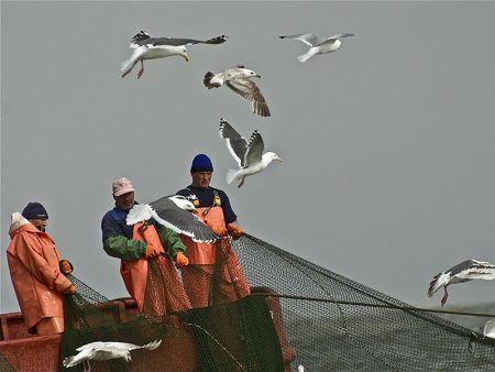 Лососевая рыбалка на Камчатке завершится 20 сентября из-за снижения подходов кижуча