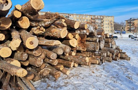 Жителей острова Путятина в Приморье обеспечили дровами