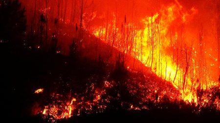 Третий день горят 200 гектаров леса у села Малая Кема на  севере  Приморья